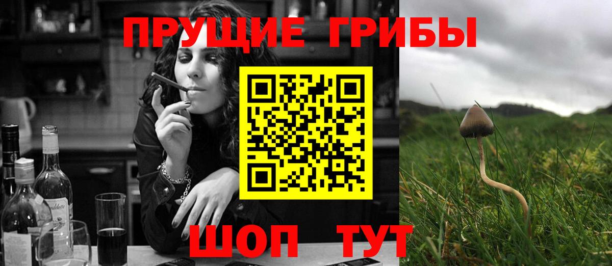 Псилоцибиновые грибы прущие грибы Железногорск